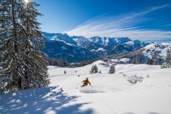 Freeride Ski Pro Roman Rohrmoser im Powder mit schöner Aussicht
