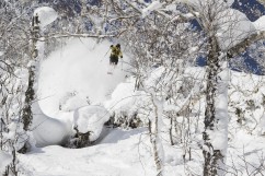 Freeride Ski Pro Roman Rohrmoser im Powder in Japan