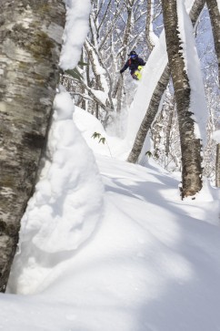 Freeride Ski Pro Max Kroneck springt im Powder in Japan