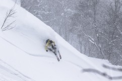 Freeride Ski Pro Roman Rohrmoser im Powder in Japan