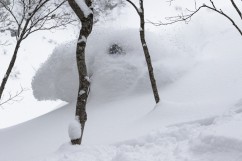 Freeride Ski Pro im Powder in Japan